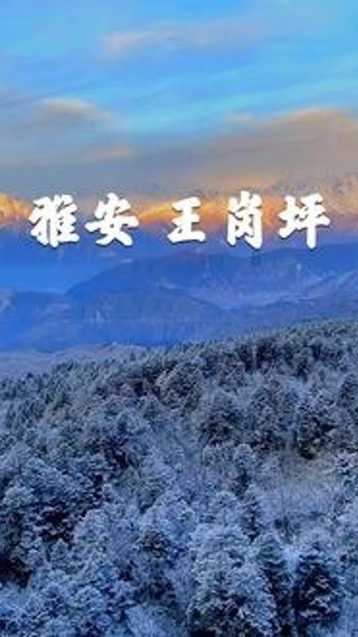 本以为是烂剧，连刷6集收不住口气